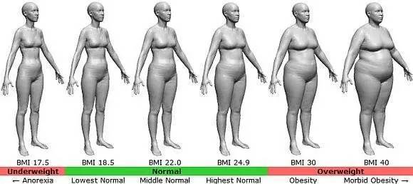 Bmi值是否可信 标准为何 体育频道 手机搜狐