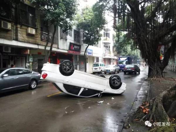 中山老司机大白天翻车,竟是因为不熟路!