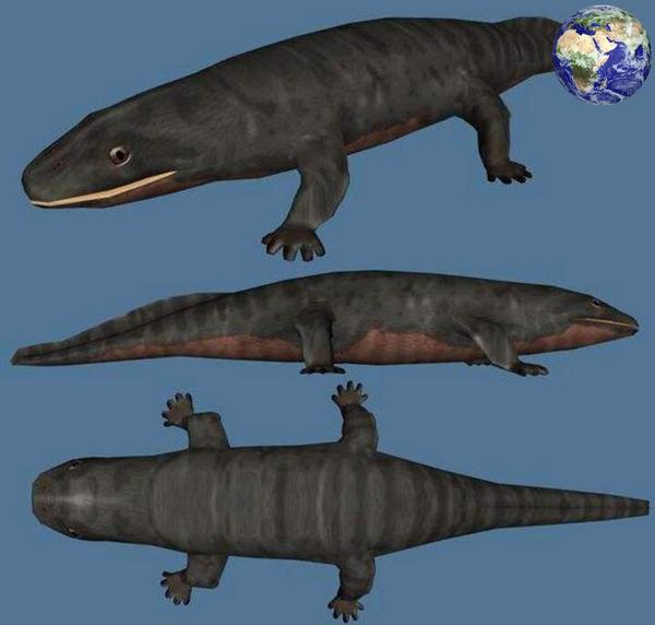 电脑复原的海纳螈