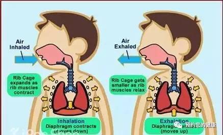 养生之道 逆腹式呼吸 你会吗 上 健康频道 手机搜狐
