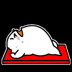仰卧起坐
