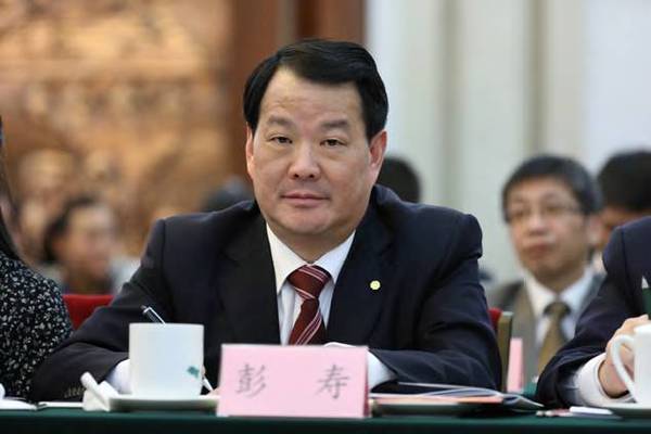 全国人大代表彭寿: 中国企业"走出去"需要改变epc模式