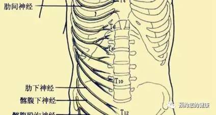中医妙方 热敷法治肋间神经痛 健康频道 手机搜狐
