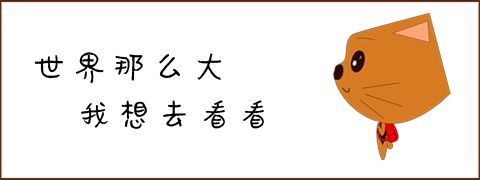 留学荷兰中途退学 还能办理荷兰学历学位认证吗 教育频道 手机搜狐