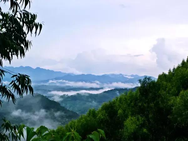 這群山霧繞的十萬大山,雖說向來低調,但喜愛它的人卻委實不少,春看