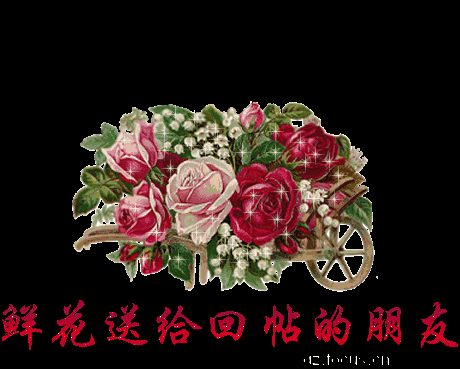 460_369gif 动态图 动图