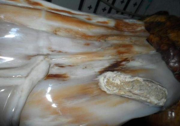 第一种是木化玉原石.