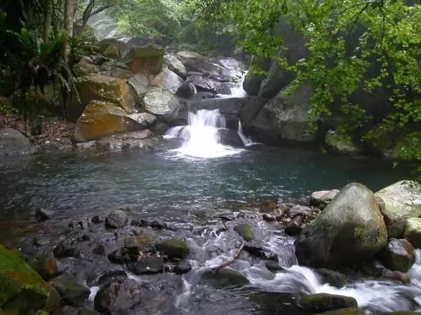 台湾好好玩 三芝樱花季健行 樱芝飞舞 旅游频道 手机搜狐