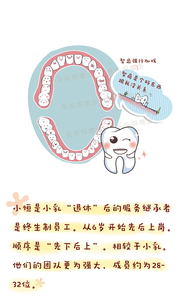 乳牙恒牙傻傻分不清楚?2分钟教你如何分辨!