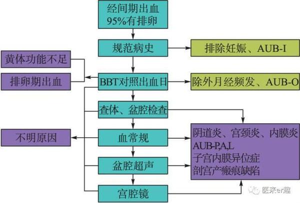 淡定应对 为您解读围排卵期出血 母婴频道 手机搜狐