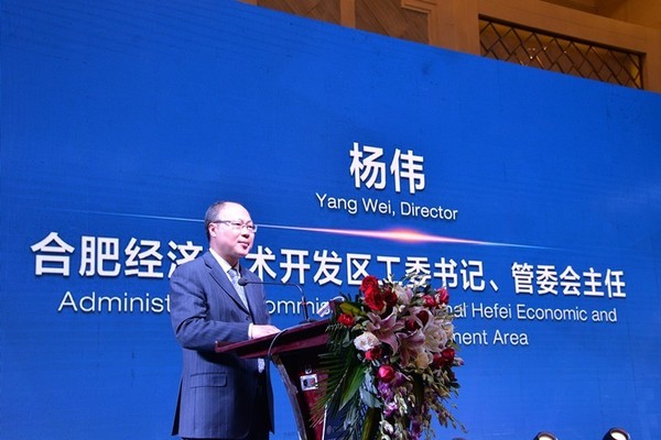 (经开区工委书记,管委会主任杨伟发言)