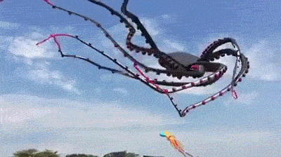 搞笑gif:海绵膨胀的感觉看起来好爽呢-笑话频道-手机搜狐