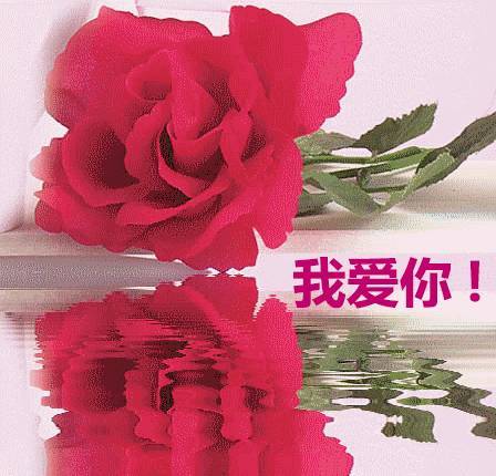 祝?早上好?2月22日?爱爱爱日?要一直爱?爱的祝福送给你