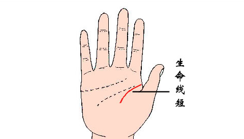 你的生命线短代表什么 不会长寿吗 看看就知道了 星座频道 手机搜狐