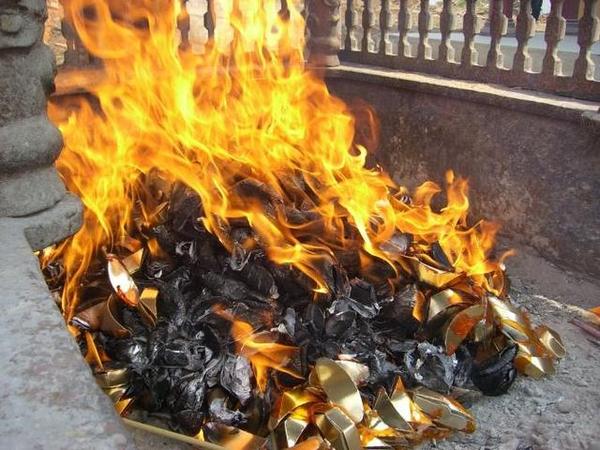 杂草实在是看不下去了,不禁感慨道:老马啊老马,你说你不烧纸钱就算了