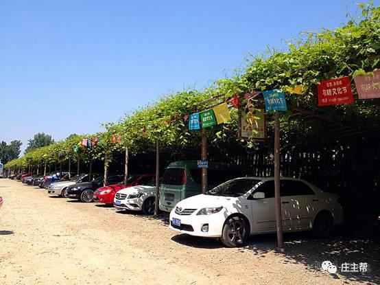 ▼ 停车场的大小决定旺季园区的接待量,所以农庄开园前,一定建好停车