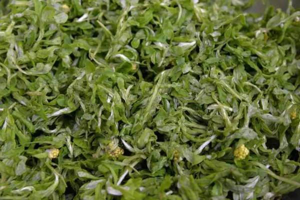 春天的味道,全在那一口水容粑粑里