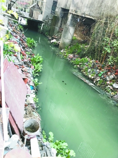 禄口颐家春天小区生活污水直排(图)