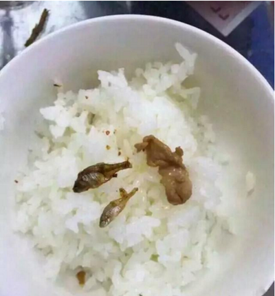 每天大鱼大肉的日子,我过腻了.