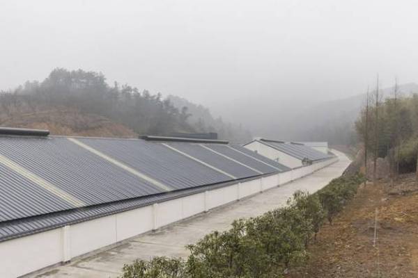 养猪场一起精心设计,由网易严选提供品质家居物件,把集装箱改造成模块
