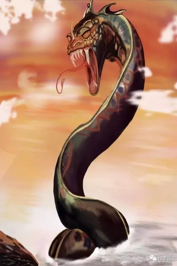 听道医马元刚讲-巨蟒出山!