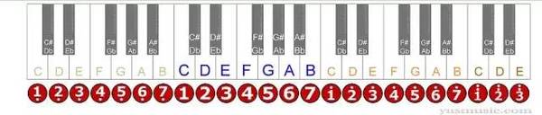 12大调音阶与键盘音名 简谱的对应表 值得收藏 教育频道 手机搜狐