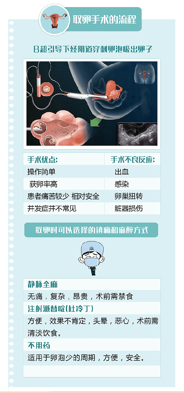 正规捐卵子一次多少钱(捐卵条件一次给多少钱)
