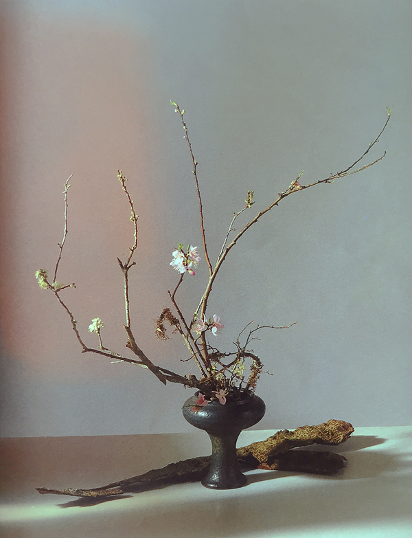 中医生活 | 人面桃花相映红