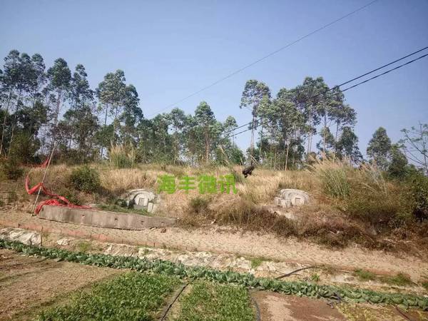 公平水库附近,有人在冒这个险!