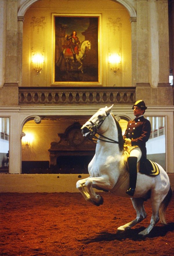 奥地利:情迷维也纳——艺术的回声触手可及