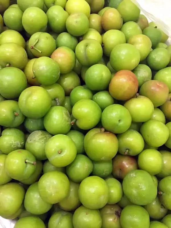 爱吃的腌李子原来可以这样制作,看得我口水直流!