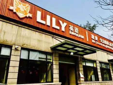 店大欺客还是经营苦衷 装修门 使lily英语面临信誉大考 教育频道 手机搜狐