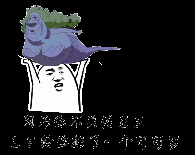 我是王三一个一本正经胡说八道的宅男.