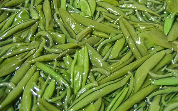 莼菜,又称马蹄菜,属睡莲科,竟是是抗癌防癌神器