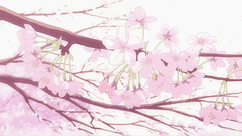 来崇明,许你三生三世桃花缘,桃花节,等你哦