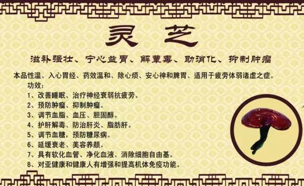 对抗癌症 灵芝孢子粉能起到什么功效与作用 健康频道 手机搜狐