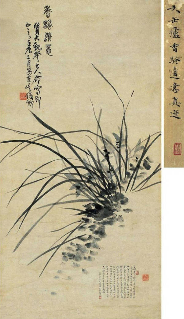 最美中国兰,历代名家笔下的兰花图