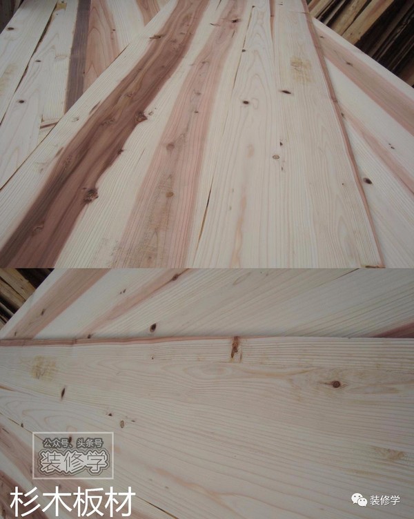 你了解松木和杉木吗 种类多得超乎想象 新闻频道 手机搜狐 你了解松木和杉木吗 种类多得超乎想象 新闻频道 手机搜狐