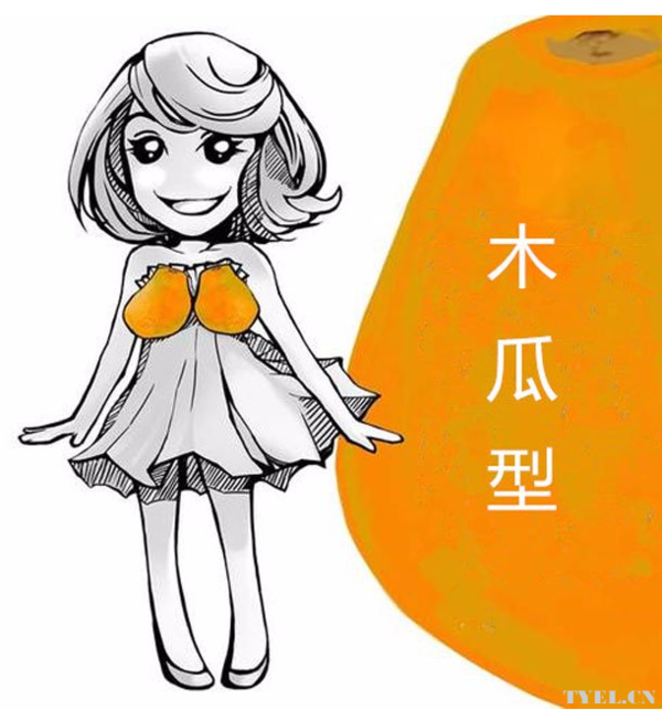 木瓜形的胸型图片