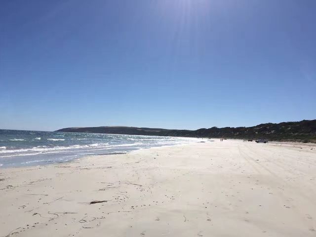 澳大利亚第三大岛屿:风景迷人的袋鼠岛