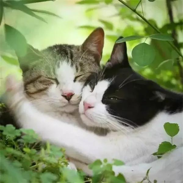 就这样以身相许了吧