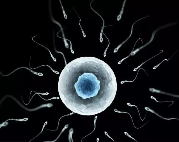 世界第一精子发射量番号_精子量射入不够会怀孕吗_全球男性精子量告急