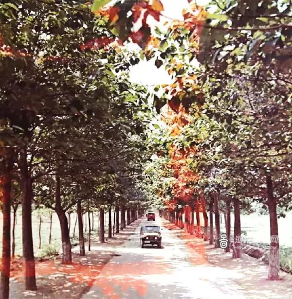 脱贫故事,老照片里的兰考