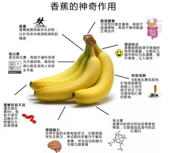 介绍香蕉的结构图图片