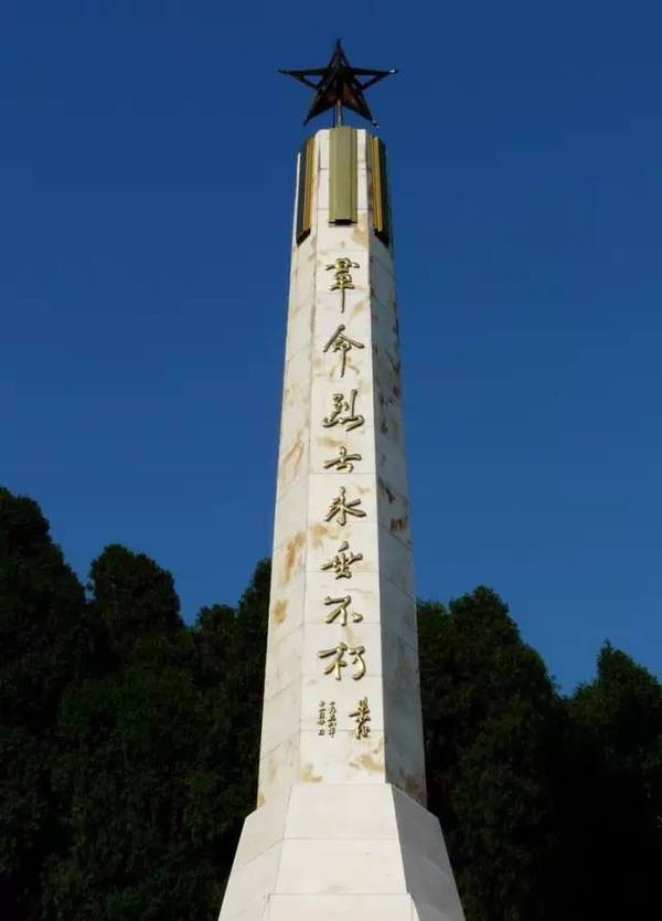 玉环的三原色,哪款是你的最爱?