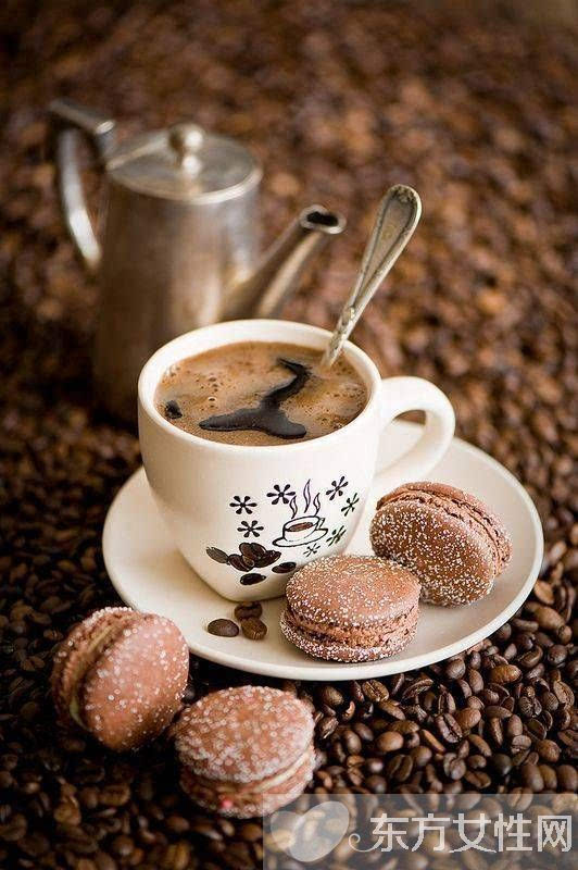 咖啡豆的种类有哪些咖啡豆怎么煮才香-时尚频