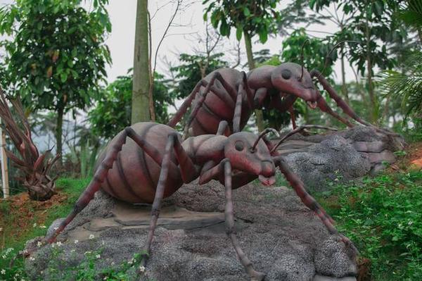 龙谷湾惟妙惟肖的蚂蚁