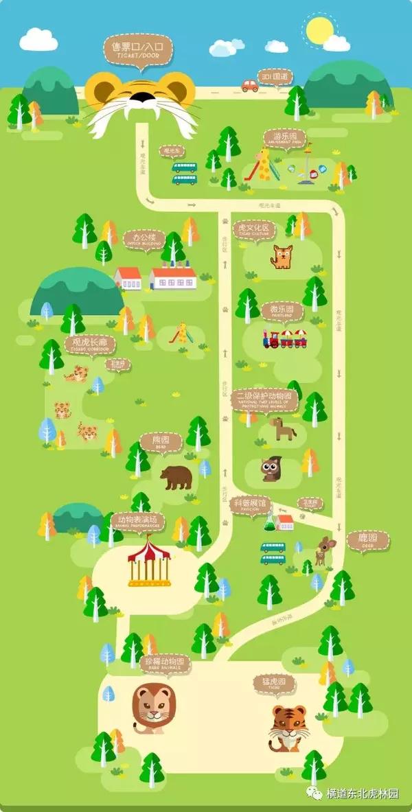 3.3世界野生动植物日,关爱东北虎,从我做起