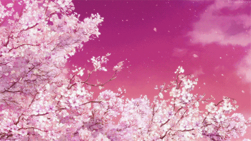 500_281gif 动态图 动图