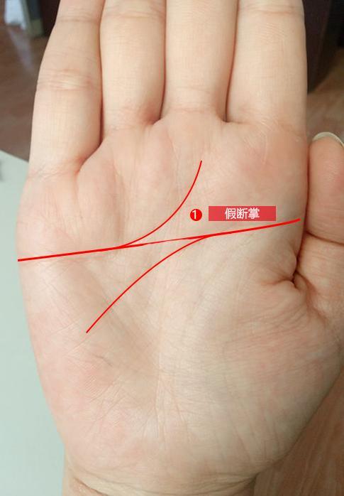 风水徐看相 女性假断掌是预示婚姻容易出事 星座频道 手机搜狐